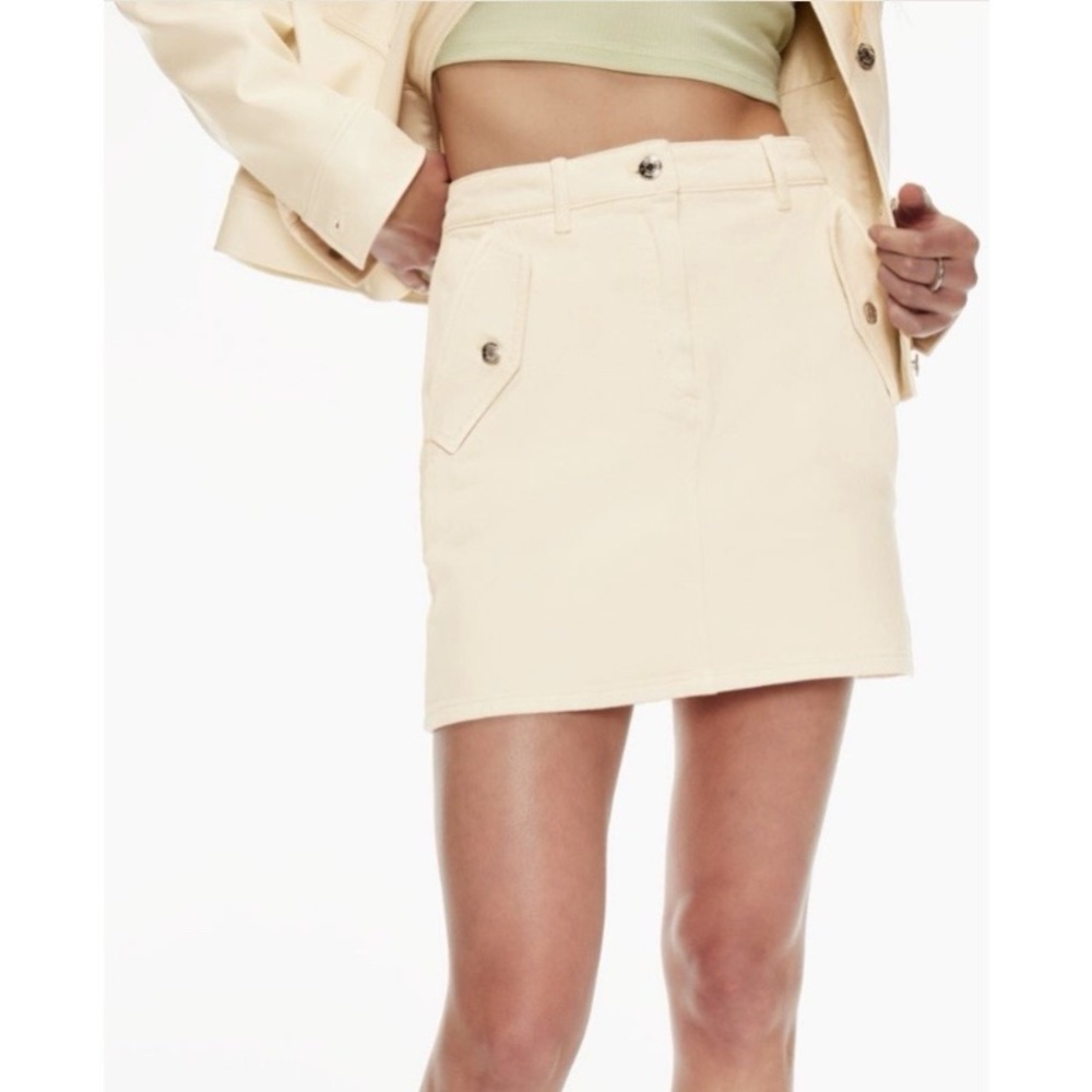 NWT Aritzia Moment Skirt